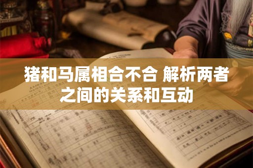 猪和马属相合不合 解析两者之间的关系和互动 猪和马属相合不合 解析两者之间的关系和互动