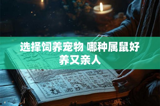 选择饲养宠物 哪种属鼠好养又亲人 选择饲养宠物 哪种属鼠好养又亲人