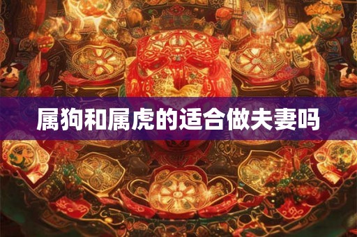 属狗和属虎的适合做夫妻吗 属狗和属虎的适合做夫妻吗