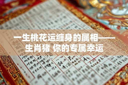 一生桃花运缠身的属相——生肖猪 你的专属幸运 一生桃花运缠身的属相——生肖猪 你的专属幸运