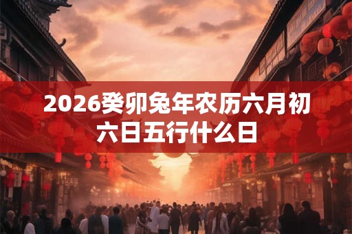 2026癸卯兔年农历六月初六日五行什么日