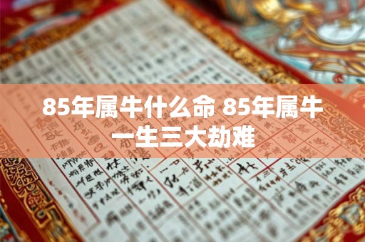 85年属牛什么命 85年属牛一生三大劫难 85年属牛什么命 85年属牛一生三大劫难