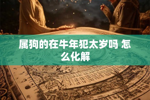 属狗的在牛年犯太岁吗 怎么化解