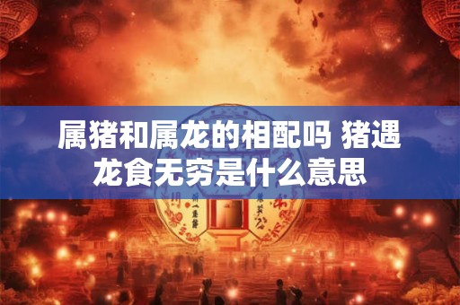 属猪和属龙的相配吗 猪遇龙食无穷是什么意思 属猪和属龙的相配吗 猪遇龙食无穷是什么意思