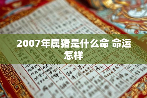 2007年属猪是什么命 命运怎样 2007年属猪是什么命 命运怎样