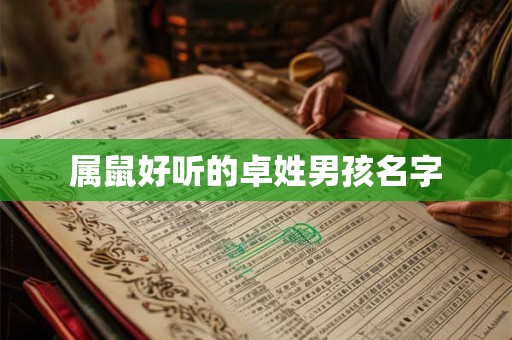 属鼠好听的卓姓男孩名字 属鼠好听的卓姓男孩名字