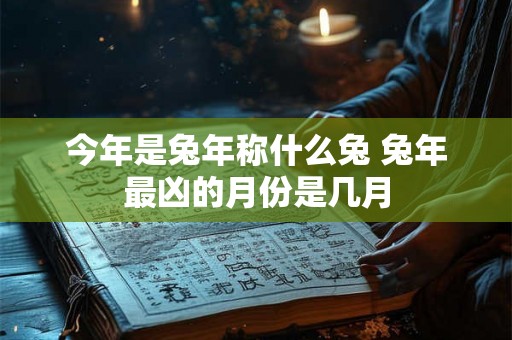 今年是兔年称什么兔 兔年最凶的月份是几月