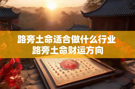 路旁土命适合做什么行业 路旁土命财运方向
