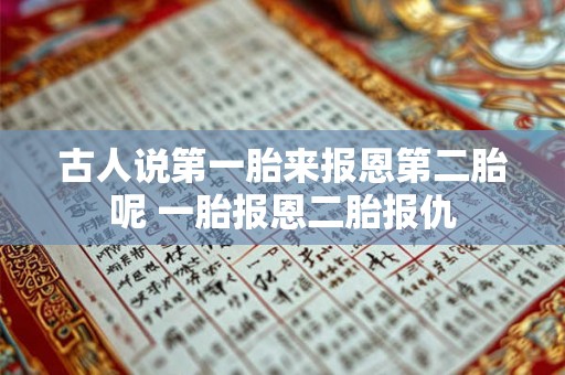 古人说第一胎来报恩第二胎呢 一胎报恩二胎报仇 古人说第一胎来报恩第二胎呢 一胎报恩二胎报仇