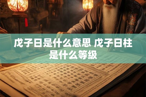 戊子日是什么意思 戊子日柱是什么等级