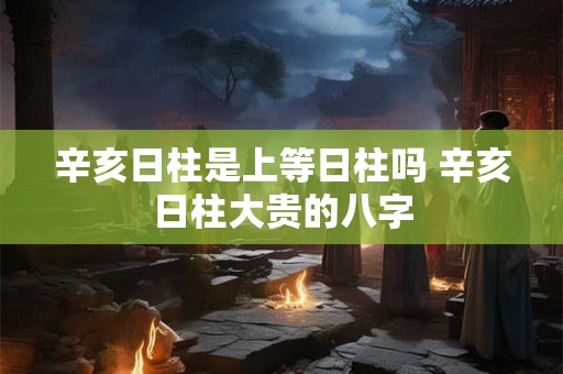辛亥日柱是上等日柱吗 辛亥日柱大贵的八字 辛亥日柱是上等日柱吗 辛亥日柱大贵的八字