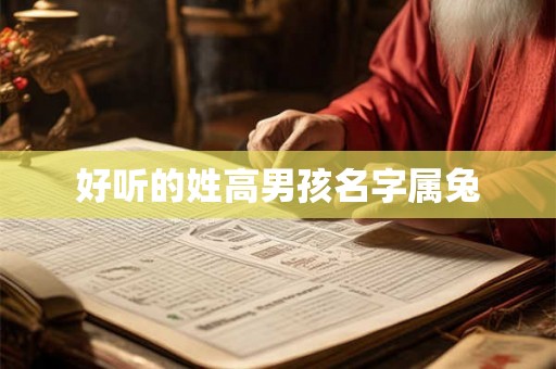 好听的姓高男孩名字属兔