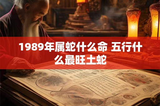 1989年属蛇什么命 五行什么最旺土蛇