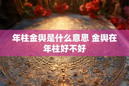 年柱金舆是什么意思 金舆在年柱好不好
