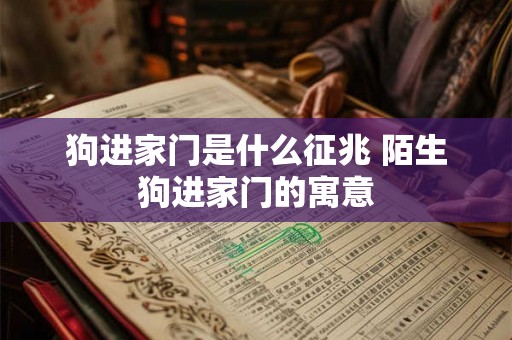 狗进家门是什么征兆 陌生狗进家门的寓意 狗进家门是什么征兆 陌生狗进家门的寓意