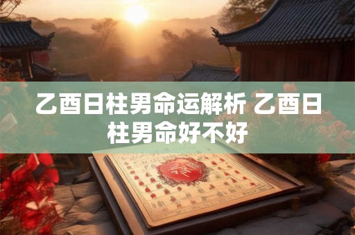 乙酉日柱男命运解析 乙酉日柱男命好不好