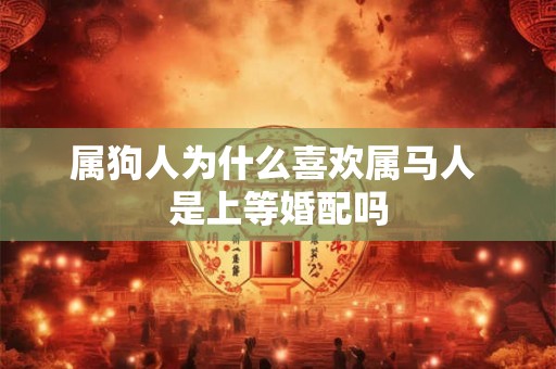 属狗人为什么喜欢属马人 是上等婚配吗