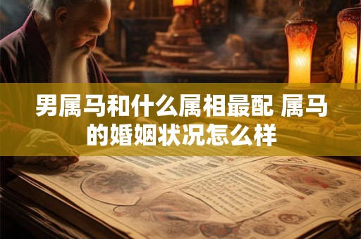 男属马和什么属相最配 属马的婚姻状况怎么样