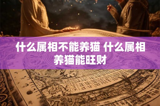 什么属相不能养猫 什么属相养猫能旺财 什么属相不能养猫 什么属相养猫能旺财