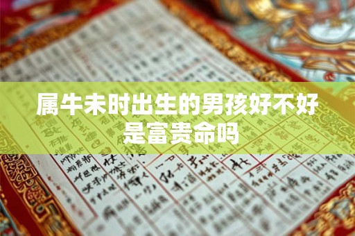 属牛未时出生的男孩好不好 是富贵命吗 属牛未时出生的男孩好不好 是富贵命吗