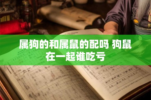 属狗的和属鼠的配吗 狗鼠在一起谁吃亏 属狗的和属鼠的配吗 狗鼠在一起谁吃亏