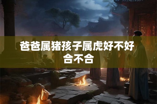 爸爸属猪孩子属虎好不好 合不合 爸爸属猪孩子属虎好不好 合不合