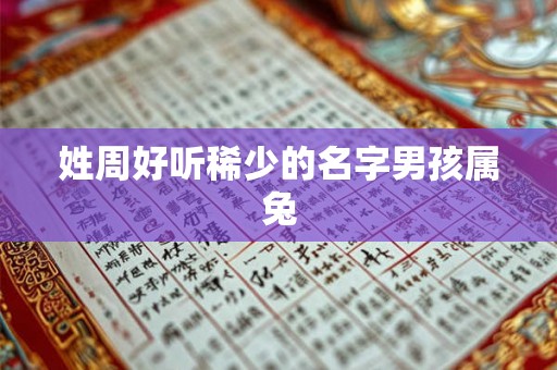 姓周好听稀少的名字男孩属兔 姓周好听稀少的名字男孩属兔