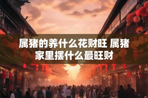属猪的养什么花财旺 属猪家里摆什么最旺财 属猪的养什么花财旺 属猪家里摆什么最旺财