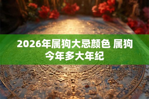 2026年属狗大忌颜色 属狗今年多大年纪 2026年属狗大忌颜色 属狗今年多大年纪