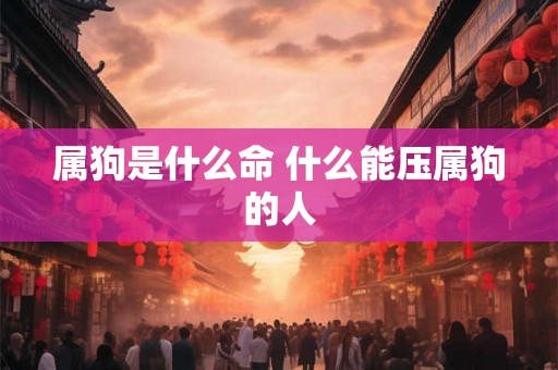 属狗是什么命 什么能压属狗的人 属狗是什么命 什么能压属狗的人
