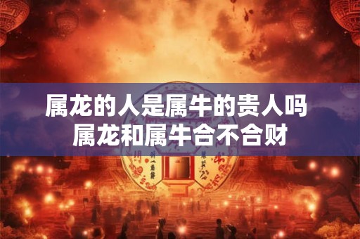 属龙的人是属牛的贵人吗 属龙和属牛合不合财 属龙的人是属牛的贵人吗 属龙和属牛合不合财