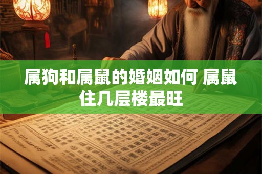 属狗和属鼠的婚姻如何 属鼠住几层楼最旺 属狗和属鼠的婚姻如何 属鼠住几层楼最旺