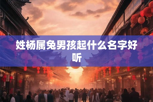 姓杨属兔男孩起什么名字好听