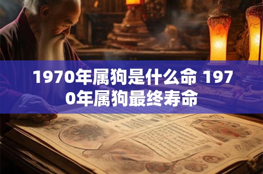 1970年属狗是什么命 1970年属狗最终寿命 1970年属狗是什么命 1970年属狗最终寿命