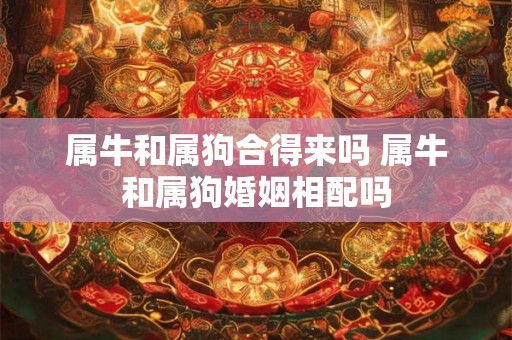属牛和属狗合得来吗 属牛和属狗婚姻相配吗
