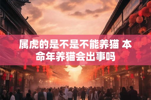 属虎的是不是不能养猫 本命年养猫会出事吗
