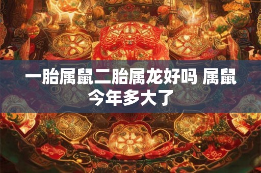 一胎属鼠二胎属龙好吗 属鼠今年多大了 一胎属鼠二胎属龙好吗 属鼠今年多大了