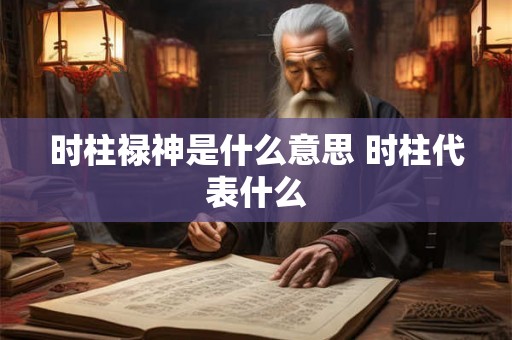 时柱禄神是什么意思 时柱代表什么 时柱禄神是什么意思 时柱代表什么