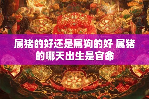 属猪的好还是属狗的好 属猪的哪天出生是官命