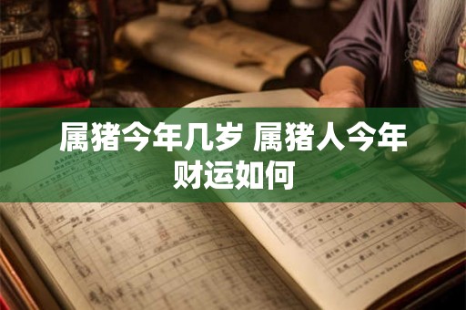 属猪今年几岁 属猪人今年财运如何 属猪今年几岁 属猪人今年财运如何
