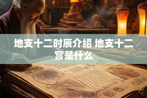 地支十二时辰介绍 地支十二宫是什么