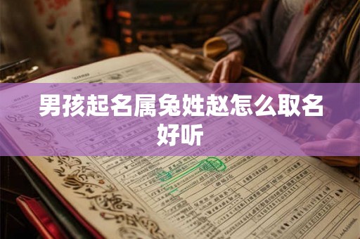 男孩起名属兔姓赵怎么取名好听