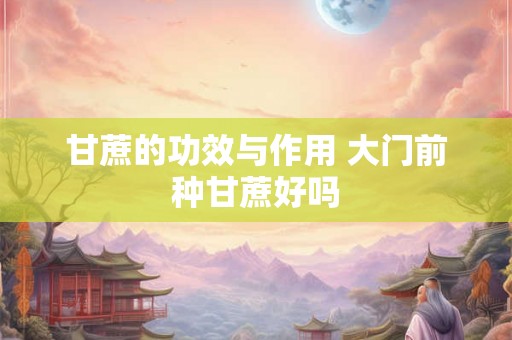 甘蔗的功效与作用 大门前种甘蔗好吗 甘蔗的功效与作用 大门前种甘蔗好吗