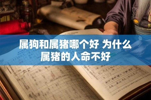 属狗和属猪哪个好 为什么属猪的人命不好 属狗和属猪哪个好 为什么属猪的人命不好
