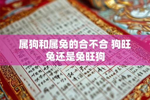属狗和属兔的合不合 狗旺兔还是兔旺狗 属狗和属兔的合不合 狗旺兔还是兔旺狗