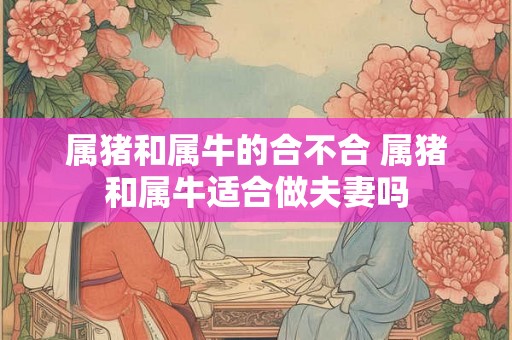 属猪和属牛的合不合 属猪和属牛适合做夫妻吗
