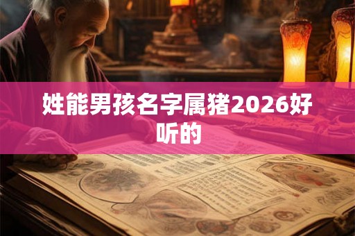 姓能男孩名字属猪2026好听的 姓能男孩名字属猪2026好听的