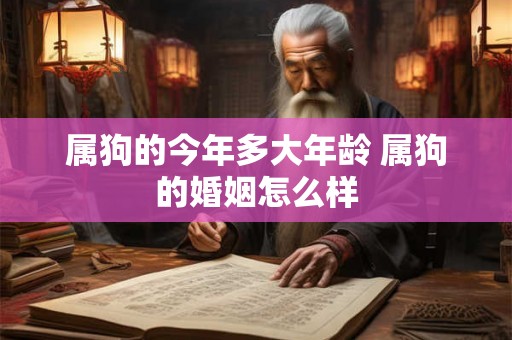 属狗的今年多大年龄 属狗的婚姻怎么样 属狗的今年多大年龄 属狗的婚姻怎么样