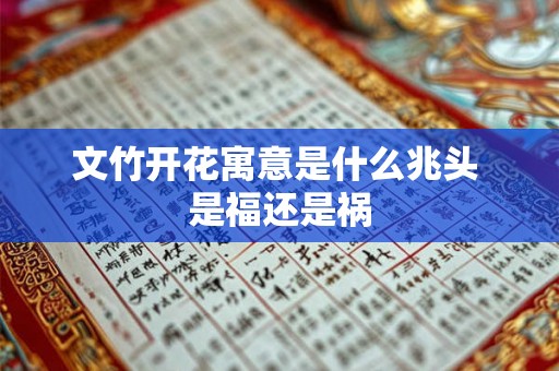 文竹开花寓意是什么兆头 是福还是祸 文竹开花寓意是什么兆头 是福还是祸