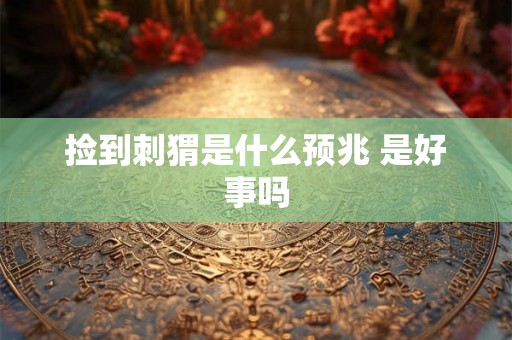 捡到刺猬是什么预兆 是好事吗 捡到刺猬是什么预兆 是好事吗